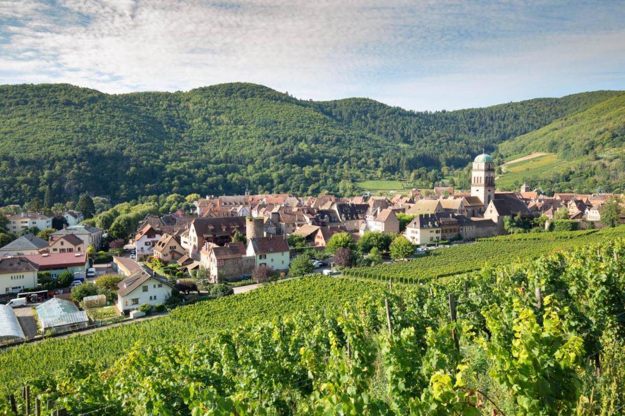 Studio Cosy Avec Balcon Avec Parking Gratuit Proche Centre Sportif Et De La Route Des Vins Alsace Mulhouse Esterno foto